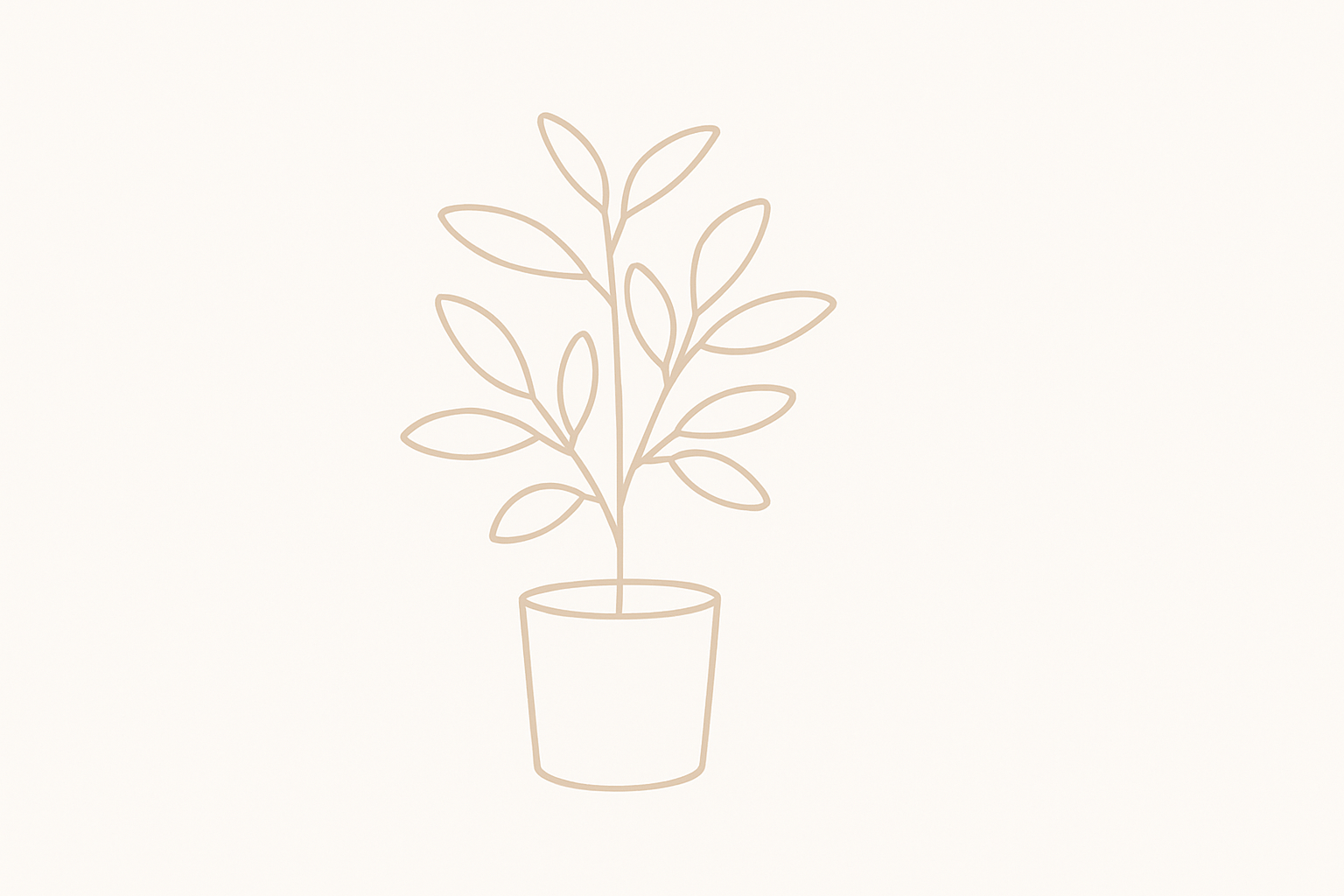 plantes d'appartement