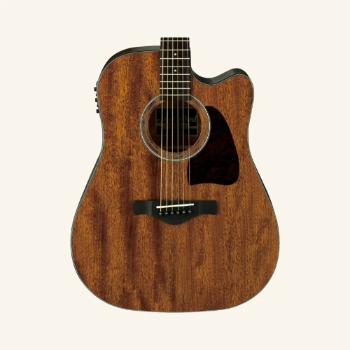 Ibanez AW54CE