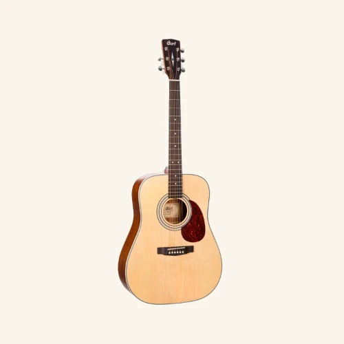 Cort Earth 70