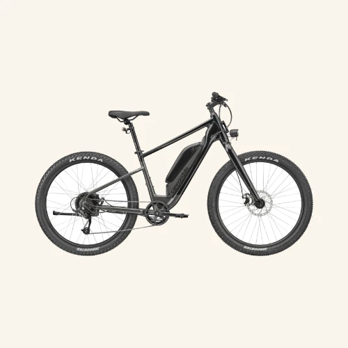 Cannondale Adventure Neo