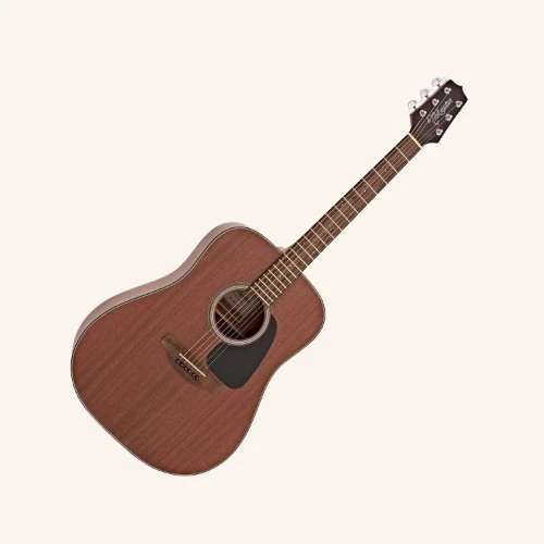 Takamine GD11M