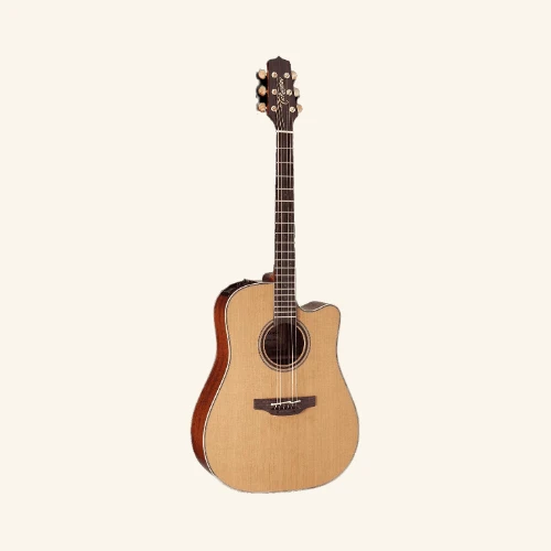 Takamine P3DC