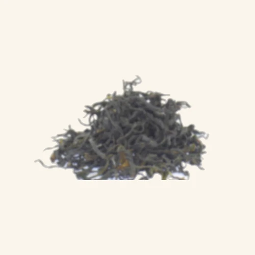 Théodor Sencha Midori