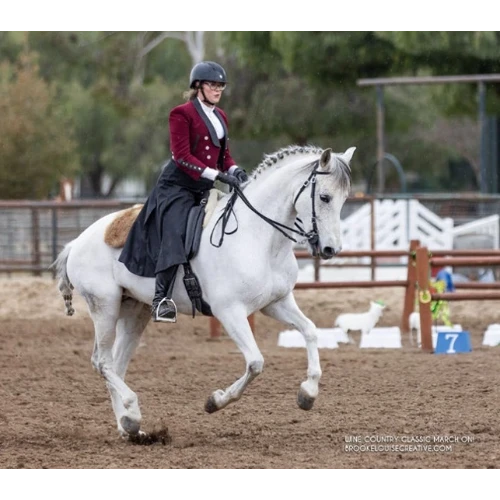 Equitation