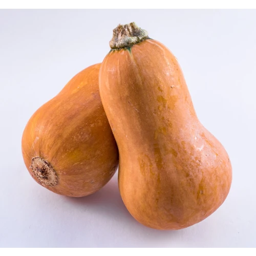 Squash