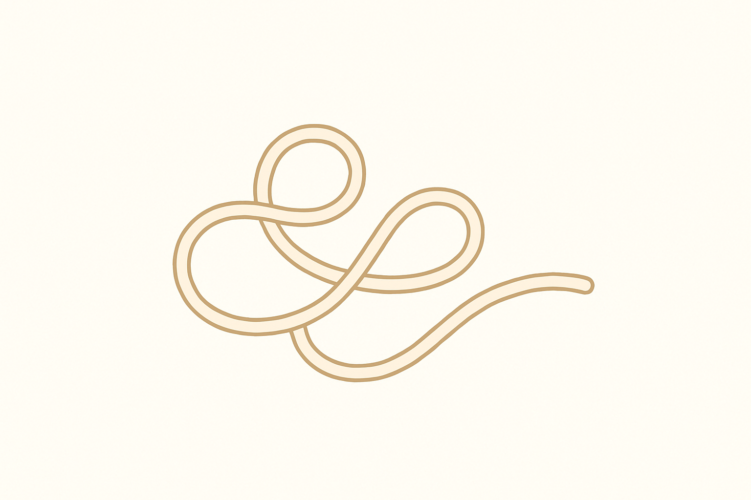 spaghetti