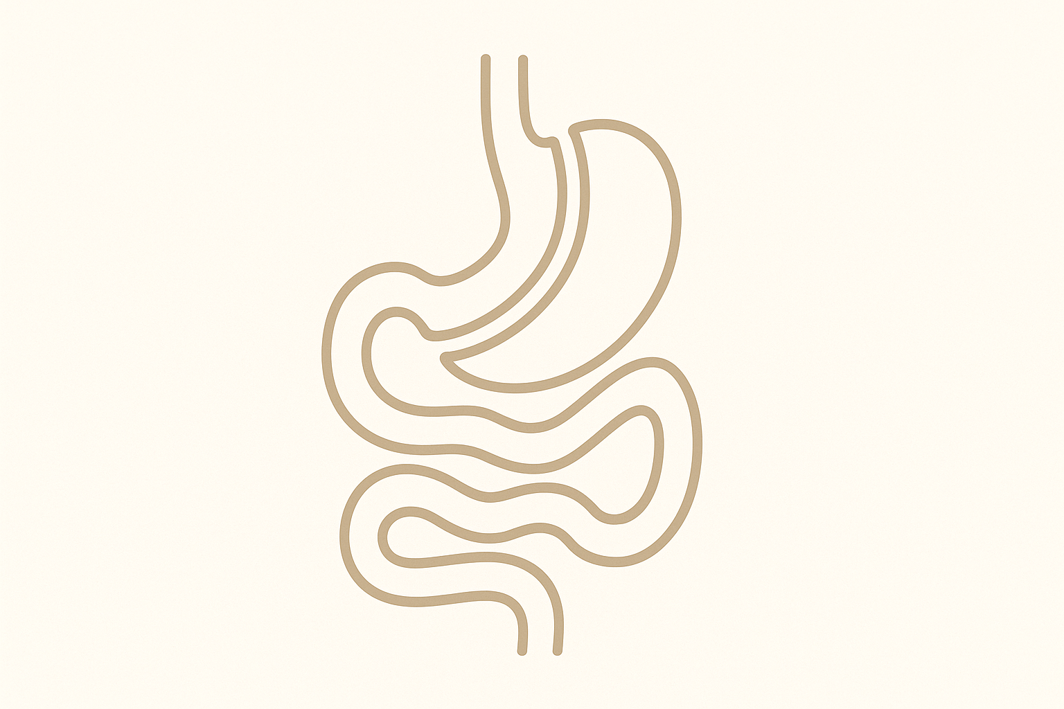 Chirurgie bariatrique (sleeve, bypass) pour obésité sévère