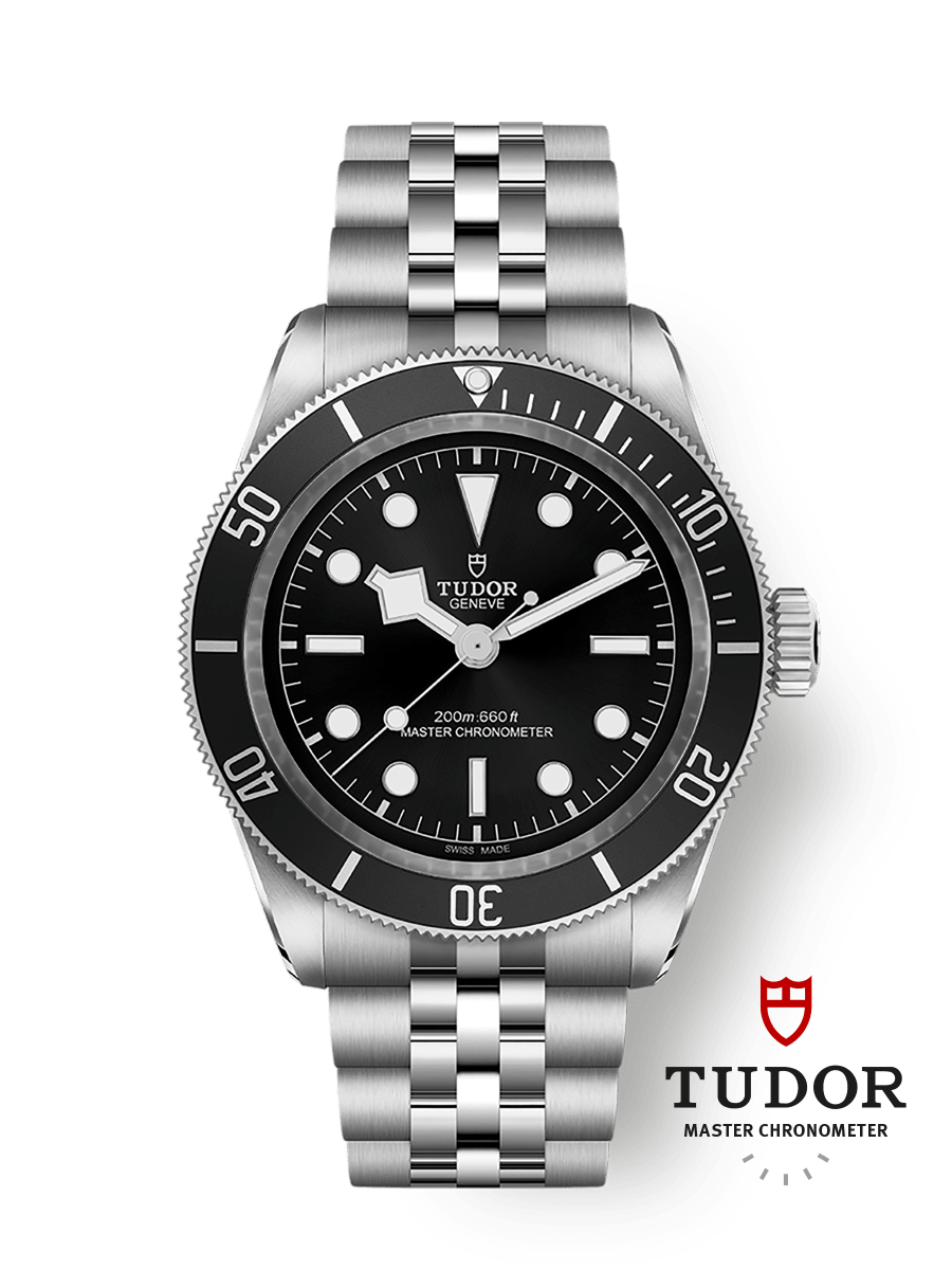 Tudor Black Bay